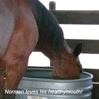 Norman loves his healthymouth!