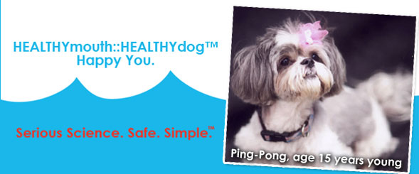 pet essential healthy mouth for dogs
