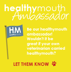 healthymouth ambassador