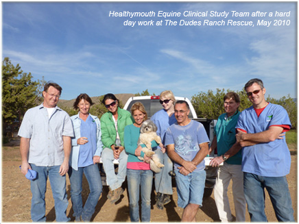 Afternoon Equine Clinical Trial Team